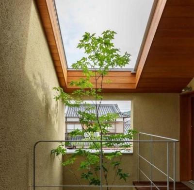 Transparent Wood – A Future Material to Replace Glass in Green Architecture