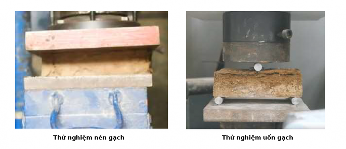 Xây Dựng Không Gây Hại Gạch Mycelium và Tương Lai Bền Vững
