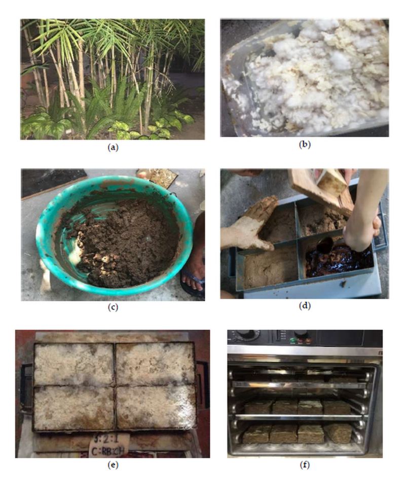 Harm-Free Construction Mycelium Bricks and a Sustainable Future