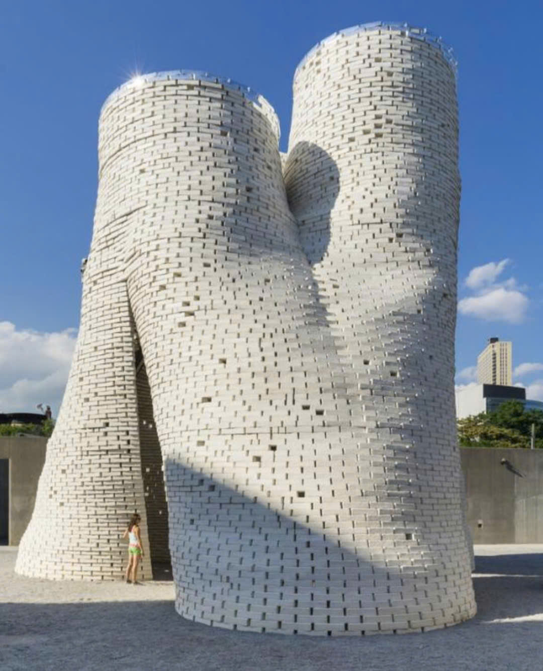 Harm-Free Construction Mycelium Bricks and a Sustainable Future
