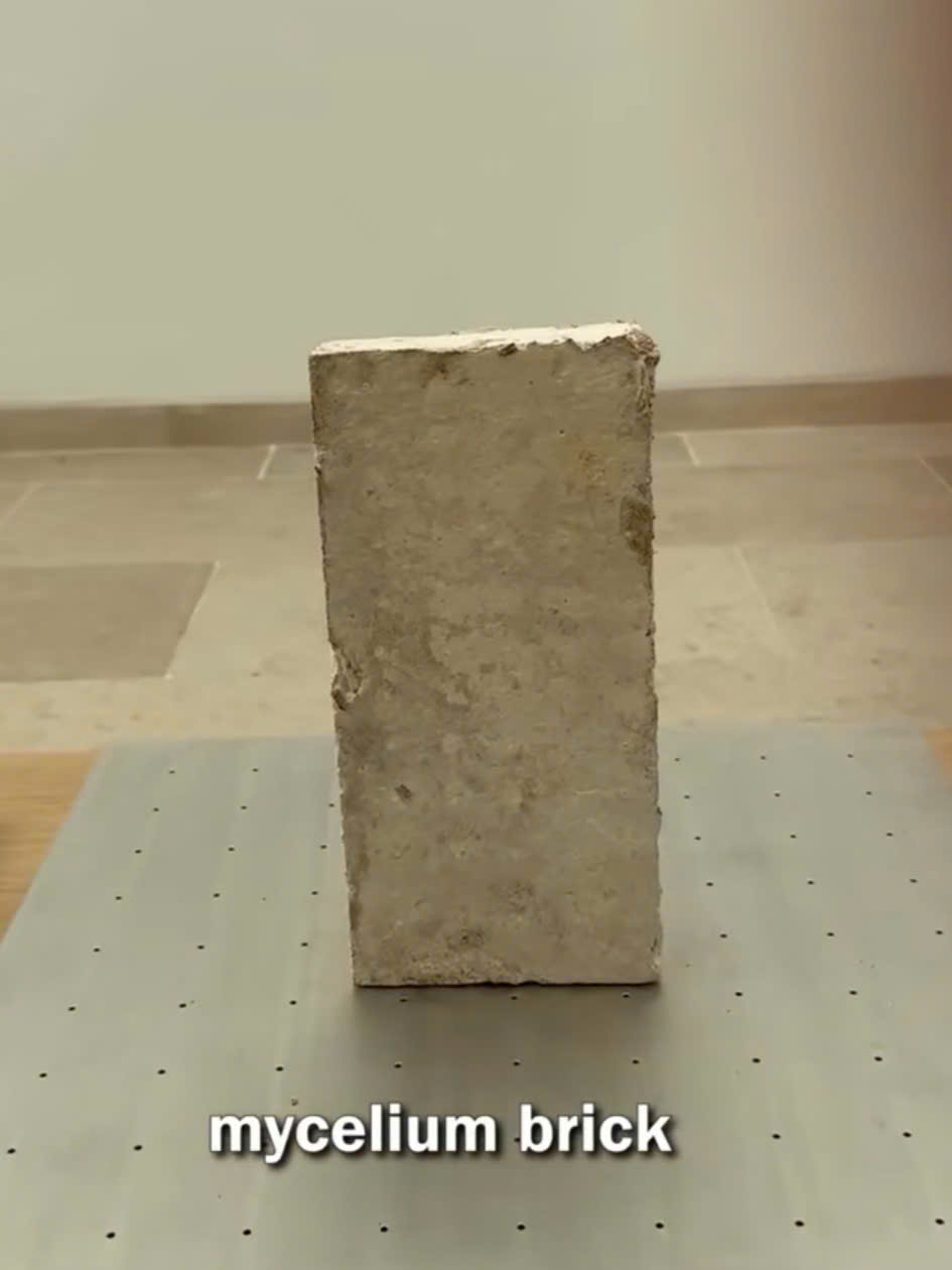 Harm-Free Construction Mycelium Bricks and a Sustainable Future