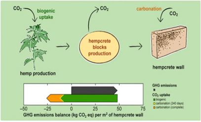 Hemp-lime (hempcrete) From hemp to green building materials