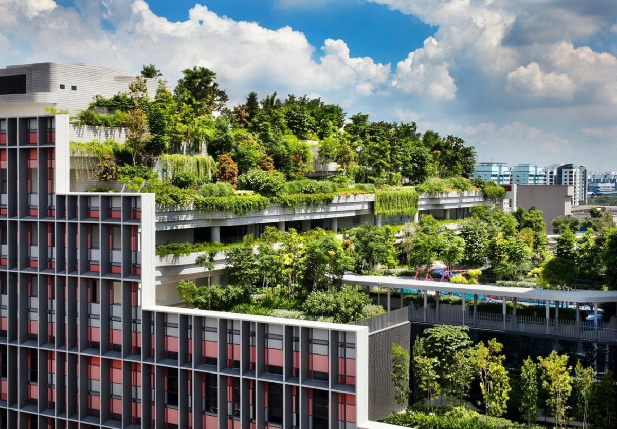 Kampung Admiralty Singapore Tropical Green Architecture and Lessons for Vietnams Cities