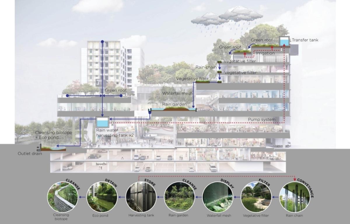 Kampung Admiralty Singapore Kiến Trúc Xanh Nhiệt Đới Và Bài Học Cho Đô Thị Việt Nam