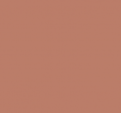 20217 Muted Coral