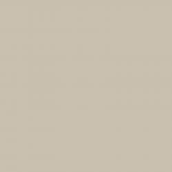 12075 SOOTHING BEIGE