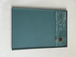 Sunergy Blue Green Low E Glass