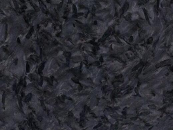 Versace Black- (Brazil)