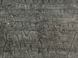 Classic Grey Marble- (China)