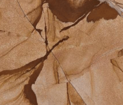 Teakwood Brown