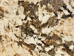 Splendor Gold Granite- (Brazil)