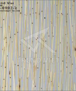 A-0902-c