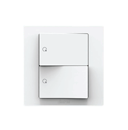 Công tắc đôi một chiều 16AX  S5121