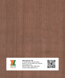 NV11-CAM-XE-DO