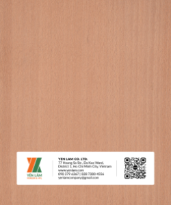 NV14-BEECH-SOC-1