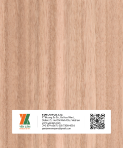NV18-BACH-DAN-SOC