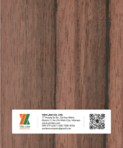 NV20-EBONY-SOC